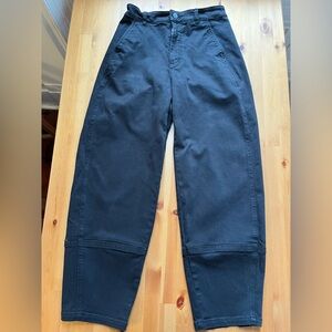 Everlane Utility Barrel Pant